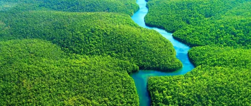 floresta-amazonica-2
